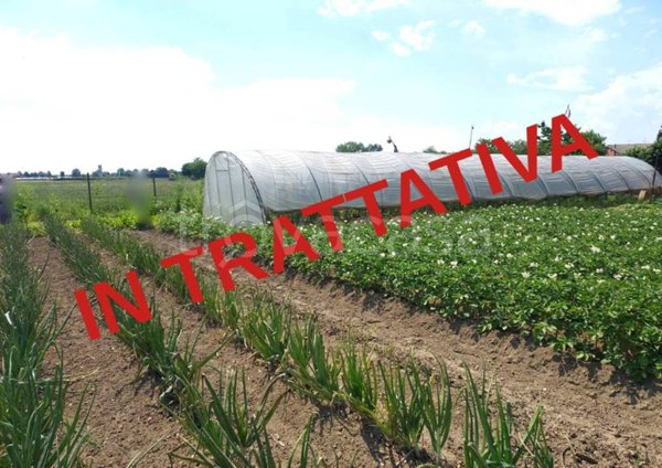 terreno agricolo in vendita a Moncalieri in zona Tetti Piatti