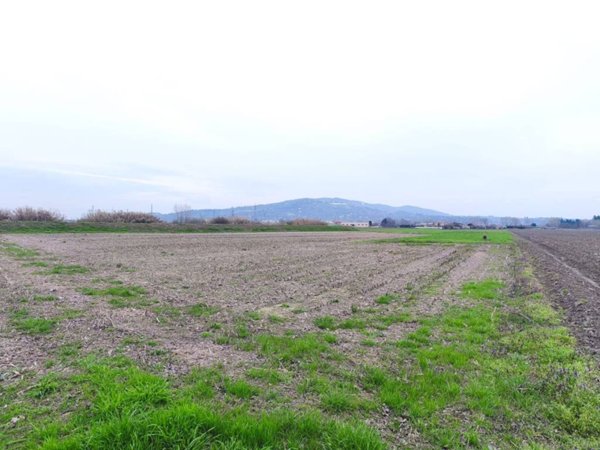 terreno agricolo in vendita a Moncalieri in zona Revigliasco