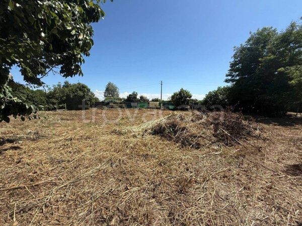 terreno agricolo in vendita a Moncalieri