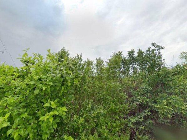 casa indipendente in vendita a Moncalieri in zona Revigliasco