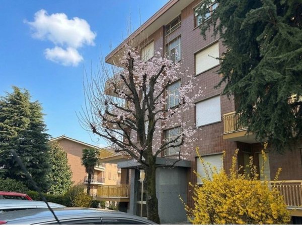 appartamento in vendita a Moncalieri in zona Carpice