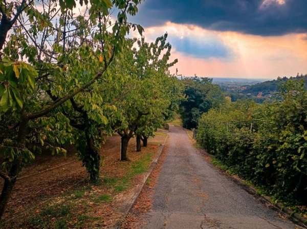 terreno agricolo in vendita a Moncalieri in zona Moriondo