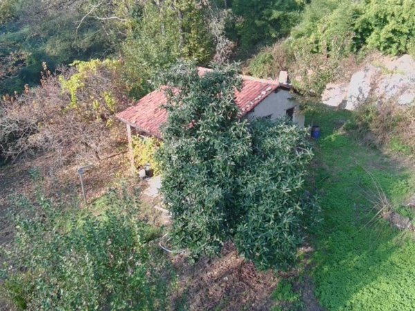 casa indipendente in vendita a Montalto Dora