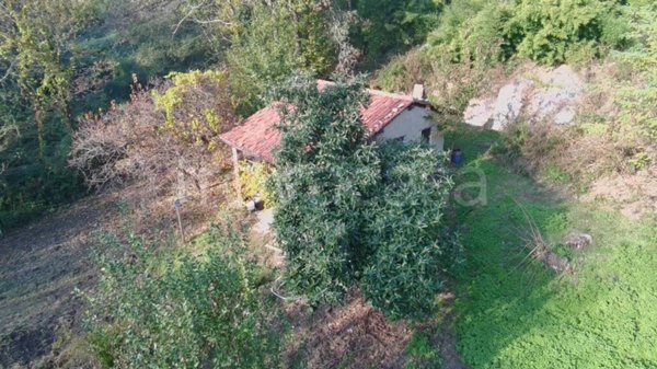 casa indipendente in vendita a Montalto Dora