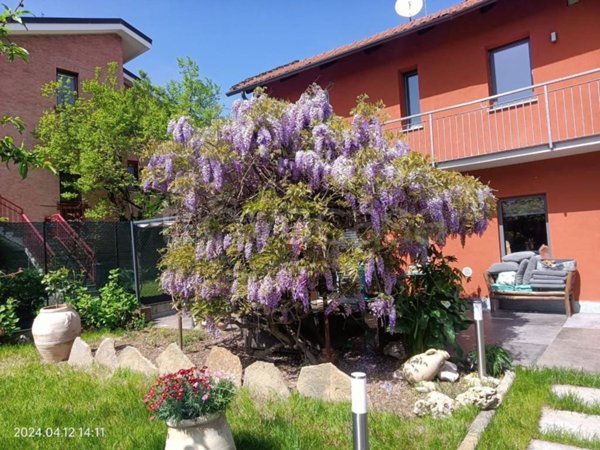 casa indipendente in vendita a Nichelino