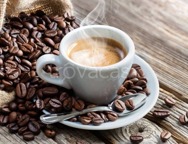 negozio in vendita a Nichelino