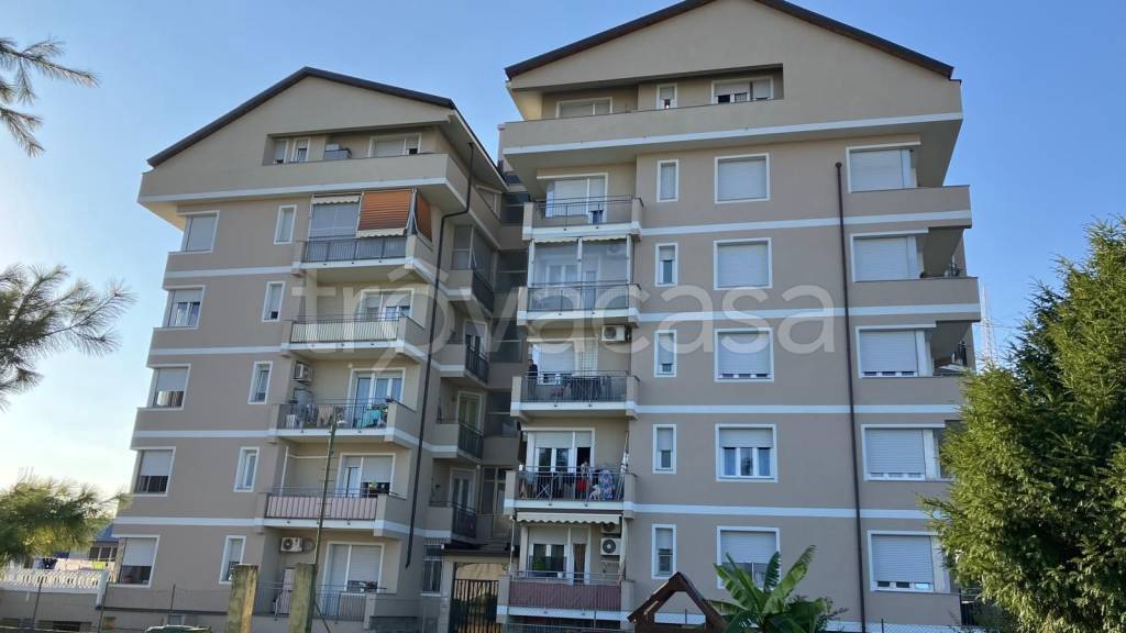 immagine annuncio 0 di 15