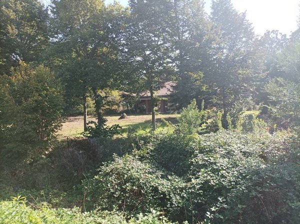 casa indipendente in vendita a Nichelino