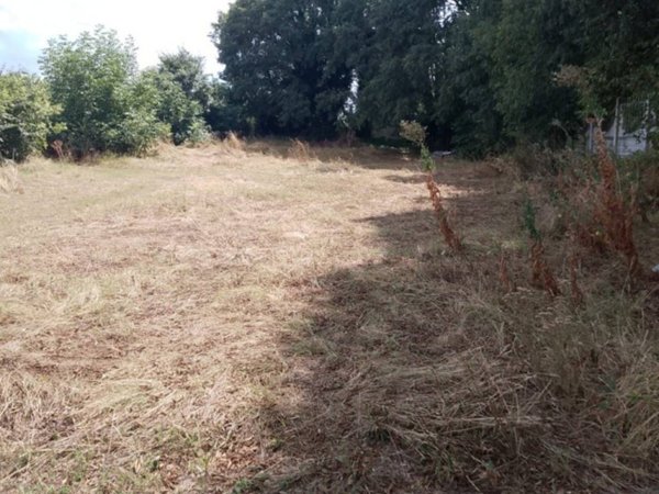 terreno agricolo in vendita a Nole