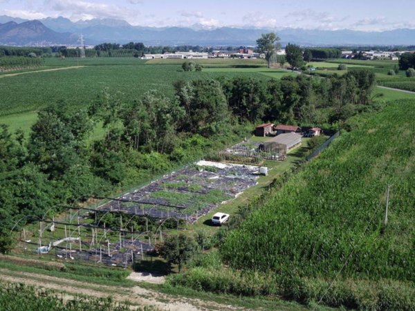 terreno agricolo in vendita a None