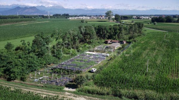terreno agricolo in vendita a None