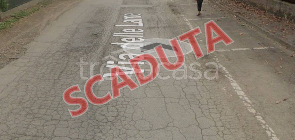 terreno agricolo in vendita a None