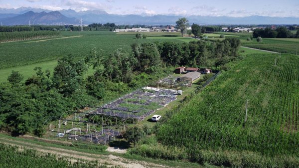 terreno agricolo in vendita a None