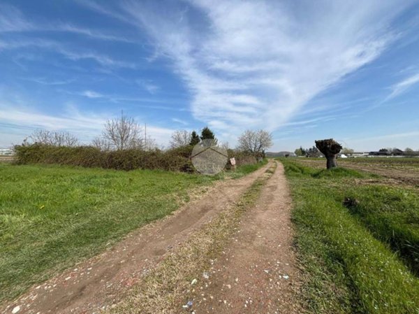 terreno agricolo in vendita a None