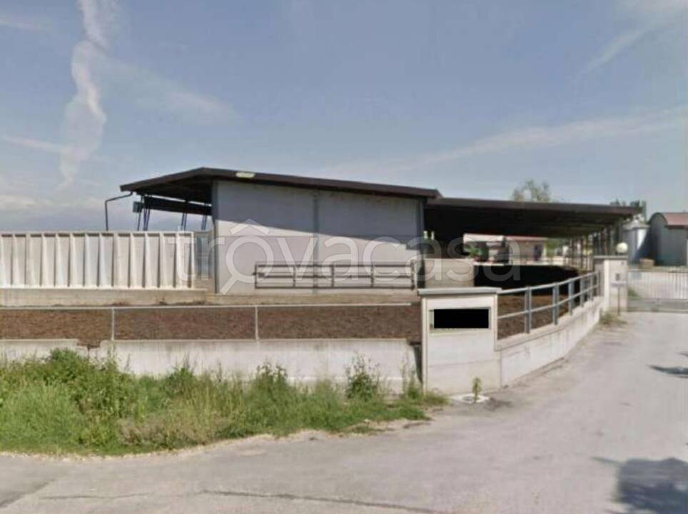 azienda agricola in vendita a None
