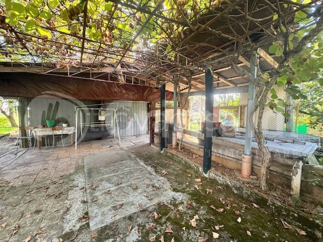 terreno agricolo in vendita ad Orbassano