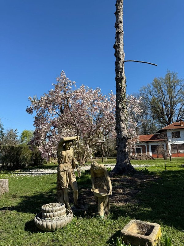 casa indipendente in vendita ad Orbassano
