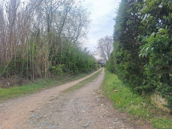 terreno agricolo in vendita ad Orbassano