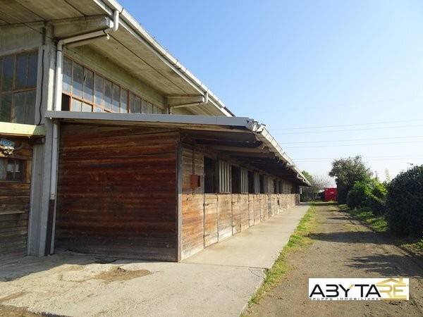 terreno agricolo in vendita ad Orbassano in zona Tetti Valfrè