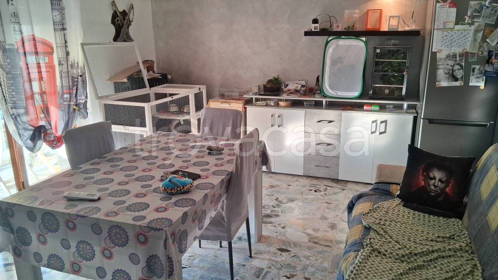 immagine annuncio 0 di 15