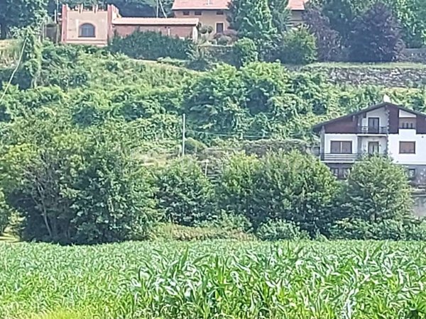 terreno edificabile in vendita a Palazzo Canavese