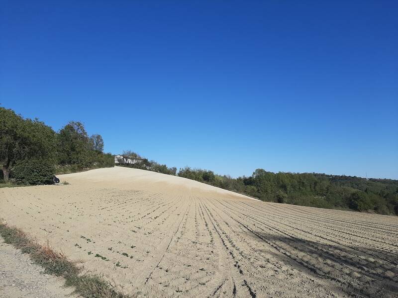 locale di sgombero in vendita a Pavarolo