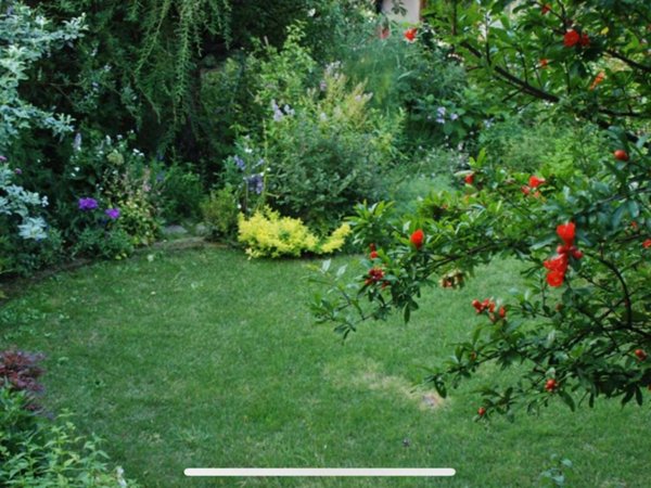 appartamento in vendita a Pavarolo