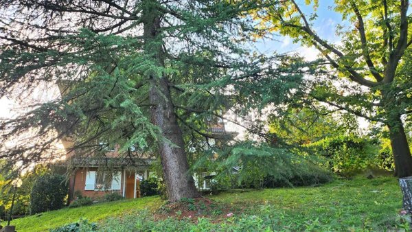 appartamento in vendita a Pecetto Torinese