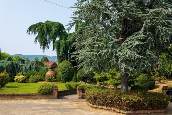 negozio in vendita a Pecetto Torinese