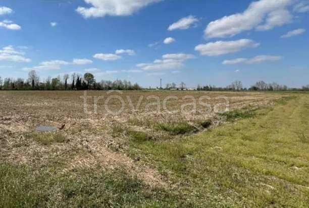 terreno agricolo in vendita ad Annicco