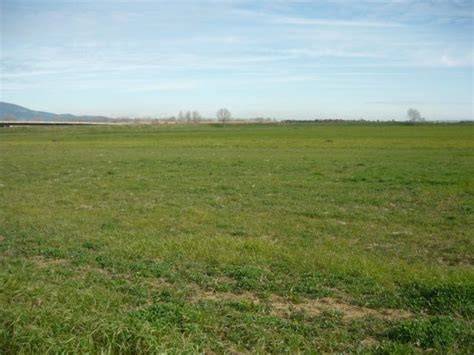 terreno agricolo in vendita ad Annicco in zona Grontorto