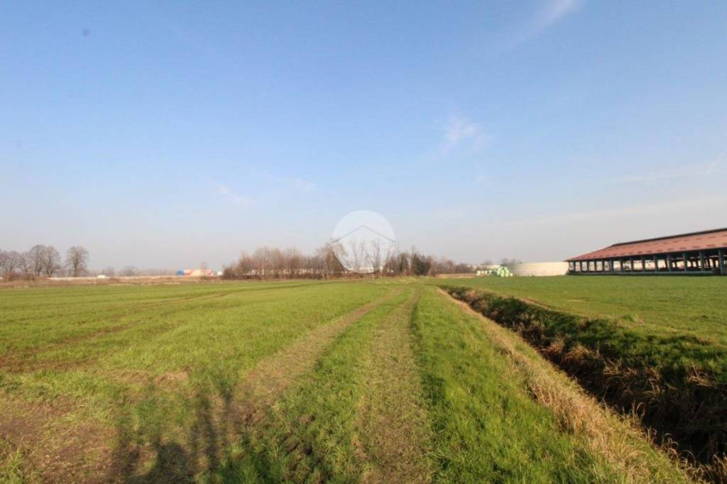 terreno agricolo in vendita a Bagnolo Cremasco