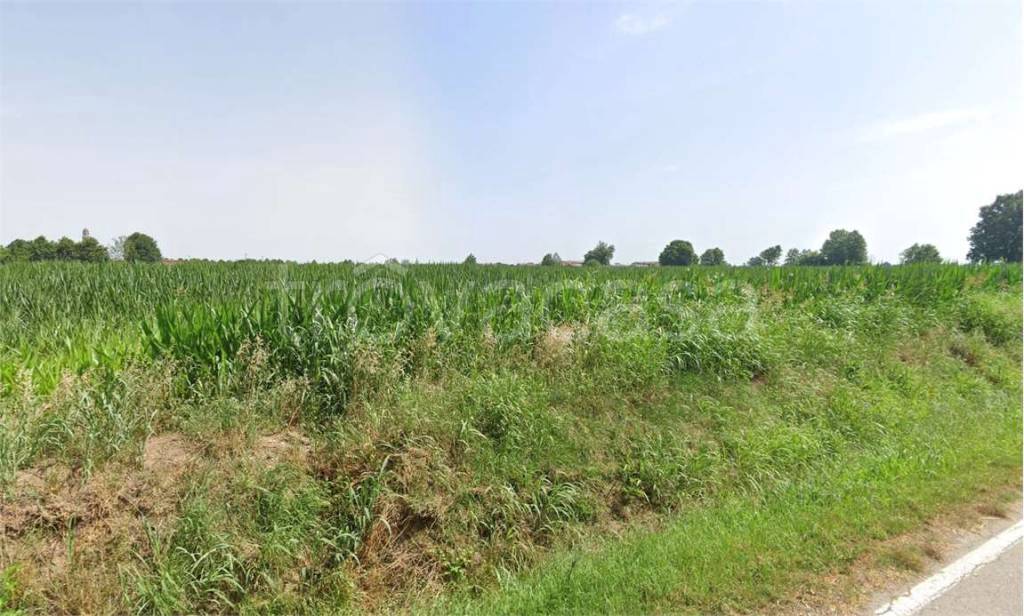 terreno agricolo in vendita a Bonemerse