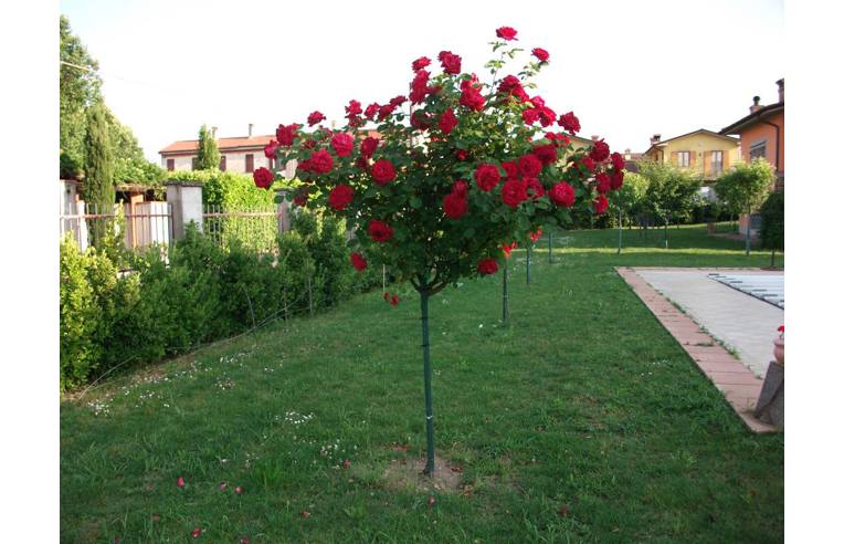 casa indipendente in vendita a Bordolano