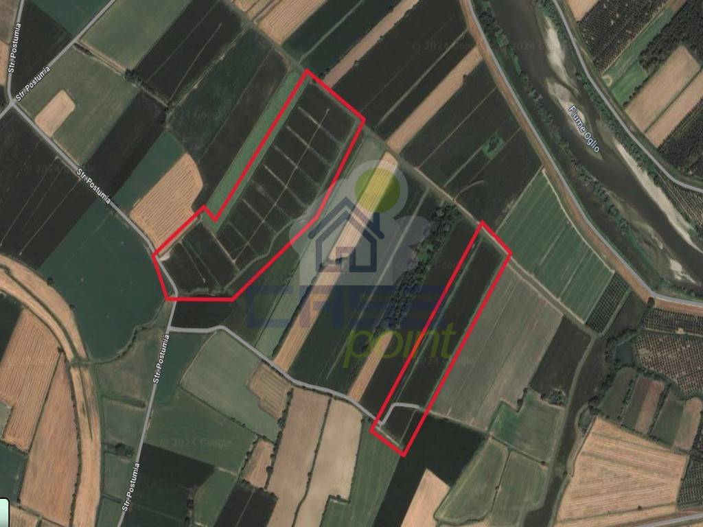 terreno agricolo in vendita a Calvatone