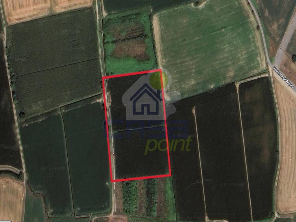 terreno agricolo in vendita a Calvatone