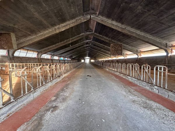 locale commerciale in vendita a Camisano