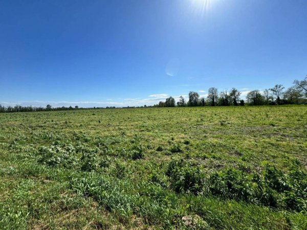 terreno agricolo in vendita a Cappella Cantone