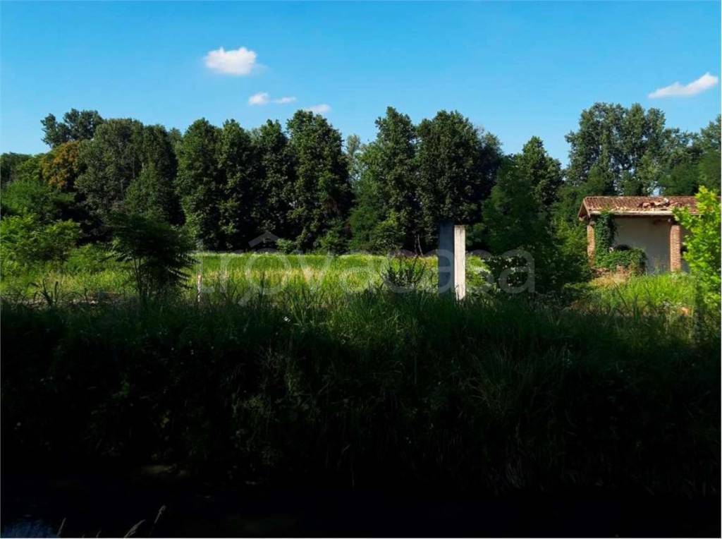 terreno agricolo in vendita a Casalbuttano ed Uniti