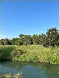 terreno agricolo in vendita a Casalbuttano ed Uniti