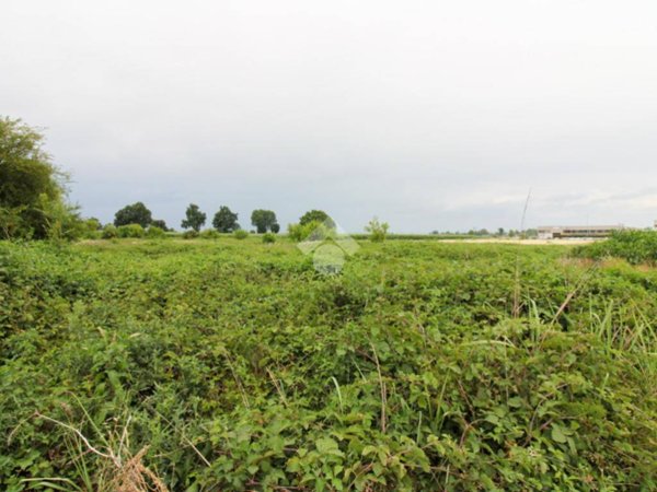 terreno edificabile in vendita a Casalbuttano ed Uniti