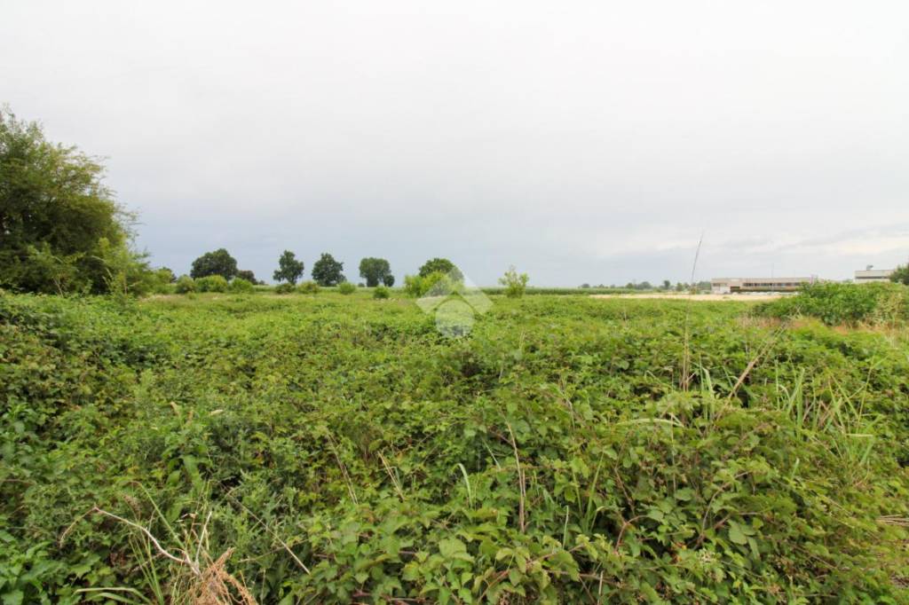 terreno edificabile in vendita a Casalbuttano ed Uniti