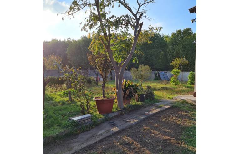 casa indipendente in vendita a Casale Cremasco-Vidolasco in zona Casale Cremasco