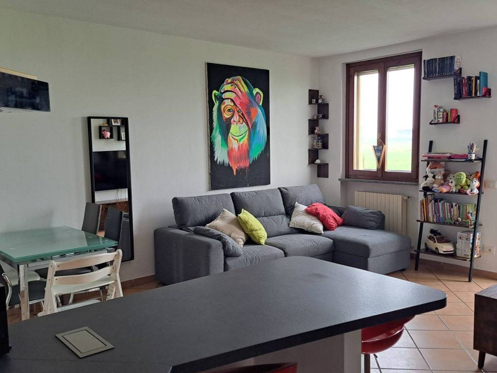 appartamento in vendita a Casale Cremasco-Vidolasco
