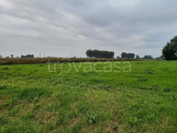 terreno agricolo in vendita a Casalmaggiore