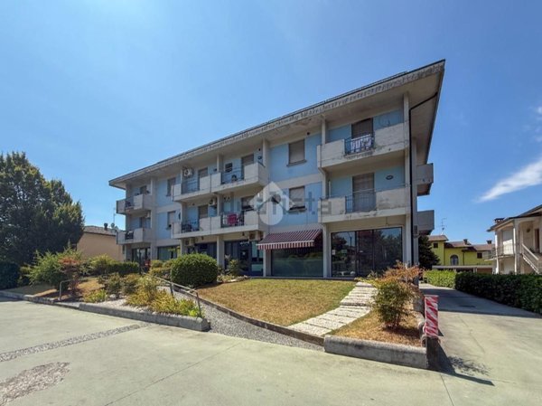 quadrivano in vendita a Casalmaggiore