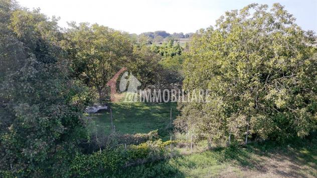 terreno agricolo in vendita a Casalmaggiore
