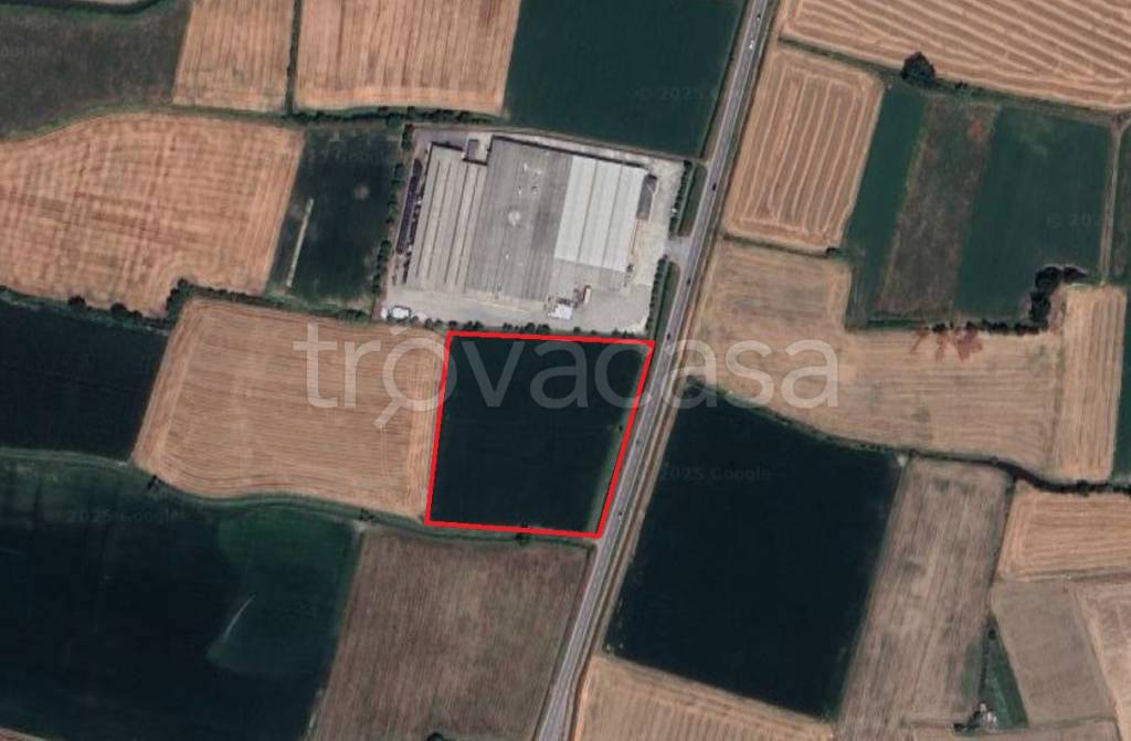 terreno agricolo in vendita a Casalmaggiore in zona Quattrocase