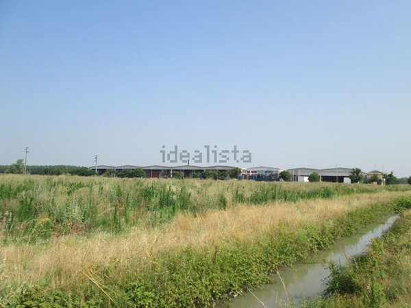 terreno agricolo in vendita a Casalmaggiore in zona Quattrocase