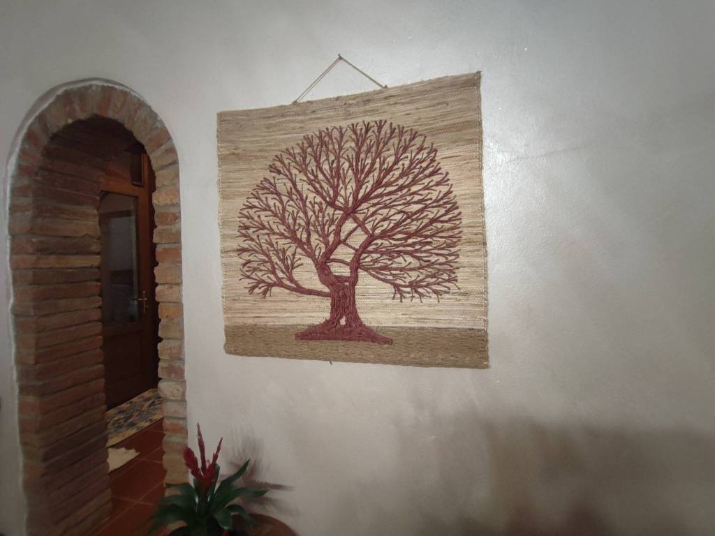 casa indipendente in vendita a Casalmaggiore in zona Casalbellotto